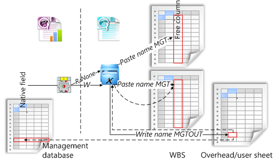 ovh & management